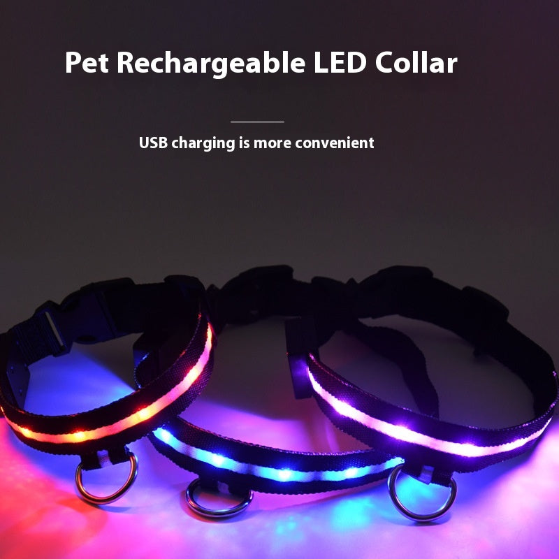USB Rechargeable LED Light-Up Dog Collar
