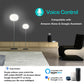 Smart WiFi Plug 4-Pack - Works with Alexa & Google Home, No Hub Required