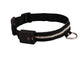 USB Rechargeable LED Light-Up Dog Collar