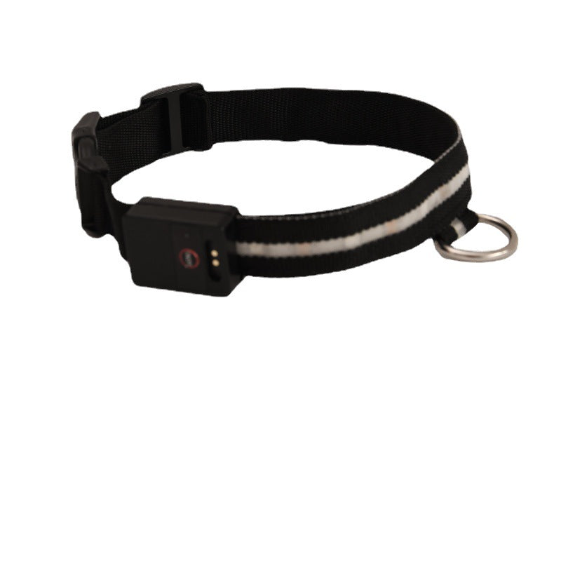 USB Rechargeable LED Light-Up Dog Collar