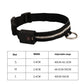 USB Rechargeable LED Light-Up Dog Collar