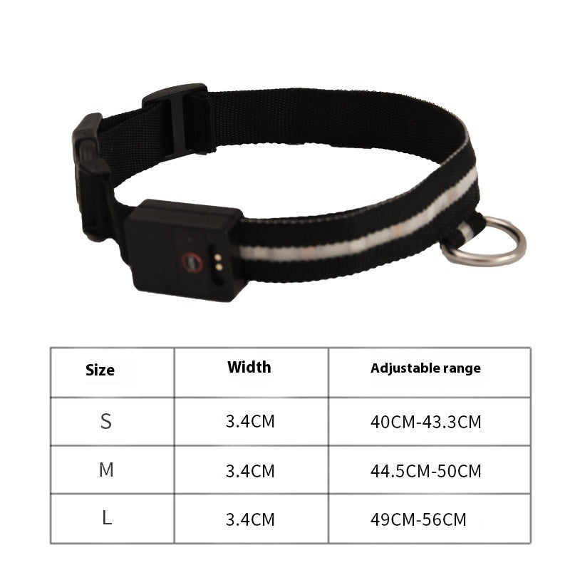 USB Rechargeable LED Light-Up Dog Collar
