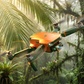 Drone Aerial Photography HD 4K Dual Camera Remote Control Airplane Toy-Black
