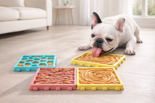 Stress-Relief Lick Mat Slow Feeder Bowl